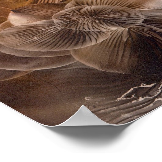 Hand Painted Abstract Glow in Earth Tones Poster (Hoek)