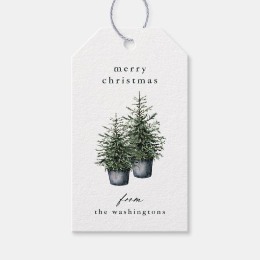 Hand-painted Potted Christmas Trees Holiday Cadeaulabel (Voorkant)