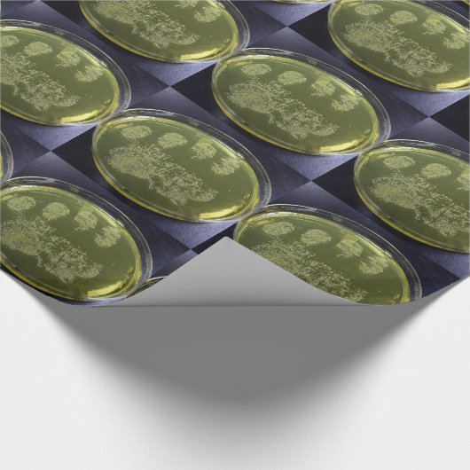 Hand Petri Dish Bacteria Cadeaupapier (Hoek)