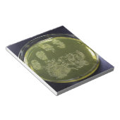 Hand Petri Dish Bacteria Notitieblok (Schuin)