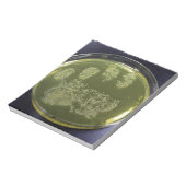 Hand Petri Dish Bacteria Notitieblok (Linkerzijde)