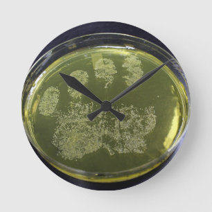 Hand Petri Dish Bacteria Ronde Klok