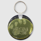 Hand Petri Dish Bacteria Sleutelhanger (Voorkant)