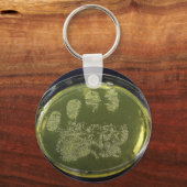 Hand Petri Dish Bacteria Sleutelhanger (Voorkant)