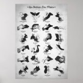 Hand Shadows Poster (Voorkant)