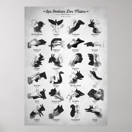 Hand Shadows Poster (Voorkant)