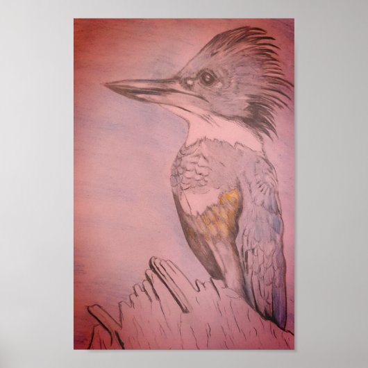 Hand Sketched Belted Kingfisher Poster (Voorkant)