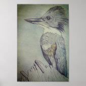 Hand Sketched Belted Kingfisher Poster (Voorkant)