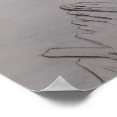 Hand Sketched Belted Kingfisher Poster (Hoek)