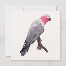 Hand-tekening roze papegaai, tropische vogel. kaart