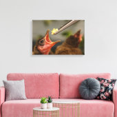 Hand voeden van een huis mus nestelen canvas afdruk (Insitu (Woonkamer))