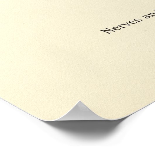 Hand & Wrist Internal Anatomy Poster (Hoek)