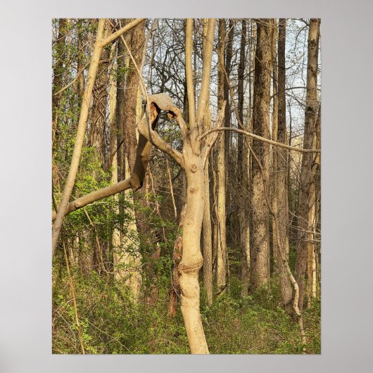 handachtig Poster (Voorkant)