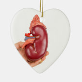 Handbedekking van het niermodel op witte achtergro keramisch ornament (Rechts)