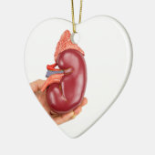 Handbedekking van het niermodel op witte achtergro keramisch ornament (Links)