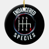 Handbediende versnellingsbak voor bedreigde soorte keramisch ornament (Achterkant)