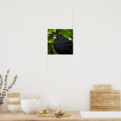 Handbeige Blackbird Poster (Keuken)