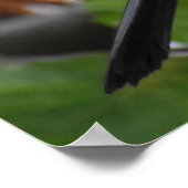 Handbeige Blackbird Poster (Hoek)