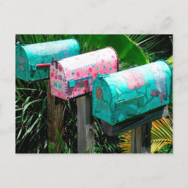 Handbeschilderde postvakken in Florida Briefkaart