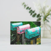 Handbeschilderde postvakken in Florida Briefkaart (Staand voorkant)