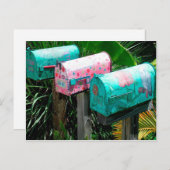 Handbeschilderde postvakken in Florida Briefkaart (Voorkant / Achterkant)