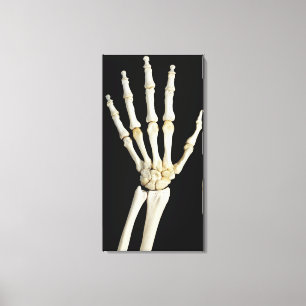 HandBotten Canvas Afdruk