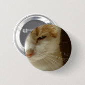 handelende kat ronde button 5,7 cm (Voorkant /achterkant)