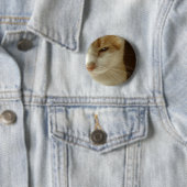 handelende kat ronde button 5,7 cm (In situ)