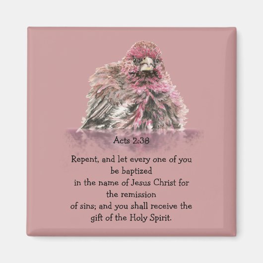 Handelingen 2:38 Doop Schrift Vers Vogel in Water Magneet (Voorkant)