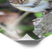 Handelingen van de Kindness Inspirerend Quote Chip Foto Afdruk (Hoek)