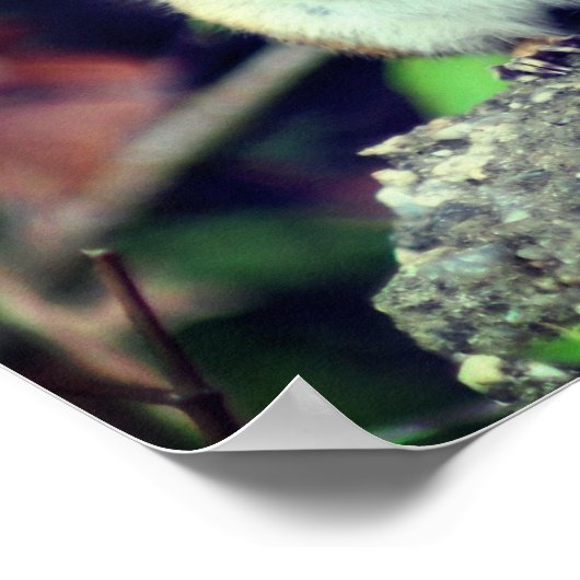 Handelingen van de Kindness Inspirerend Quote Chip Poster (Hoek)