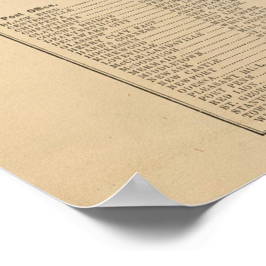 Handelsmap Wilmington Poster (Hoek)