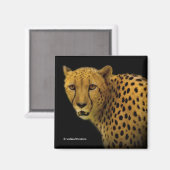 Handelspans met een Magnificante Cheetah Magneet (Voorkant / Achterkant)