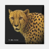 Handelspans met een Magnificante Cheetah Magneet (Voorkant)