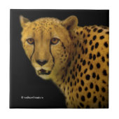 Handelspans met een Magnificante Cheetah Tegeltje (Voorkant)