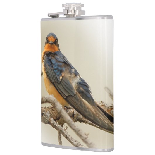 Handelsstadia met een Barn Swallow Heupfles (Links)