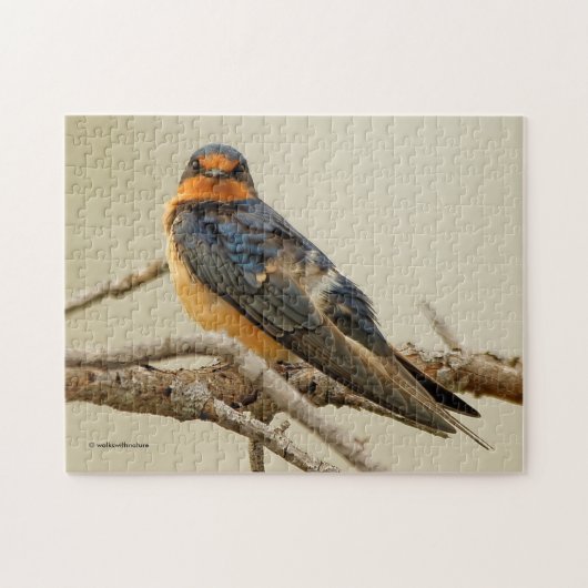 Handelsstadia met een Barn Swallow Legpuzzel (Horizontaal)