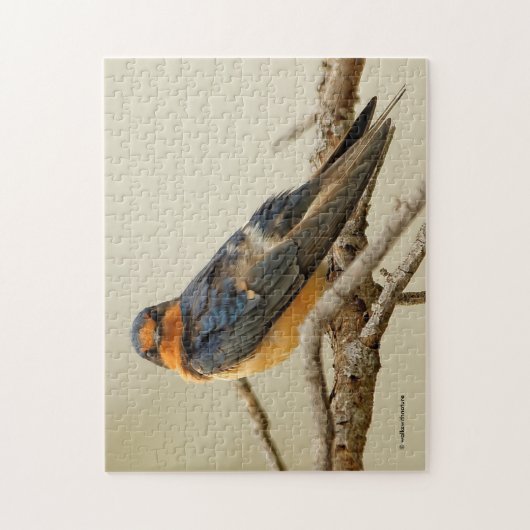 Handelsstadia met een Barn Swallow Legpuzzel (Verticaal)