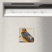 Handelsstadia met een Barn Swallow Magneet (Insitu (Vaatwasser))