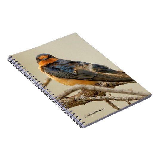 Handelsstadia met een Barn Swallow Notitieboek (Rechterzijde)