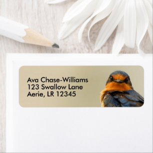 Handelsstadia met een Barn Swallow Songbird Etiket