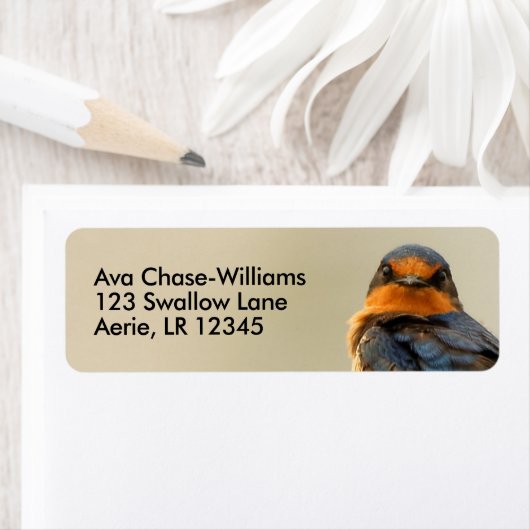 Handelsstadia met een Barn Swallow Songbird Etiket (Insitu)