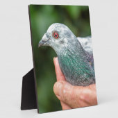 Handen die buiten de uitholling van de trekduif ho fotoplaat (Zijkant)