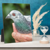 Handen die buiten de uitholling van de trekduif ho fotoplaat (Zijkant)