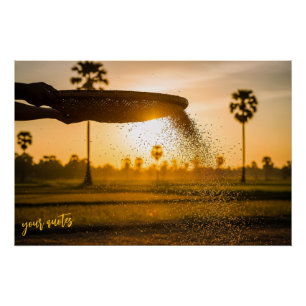 Handen die graan zeven Landschappelijk platteland Perfect Poster