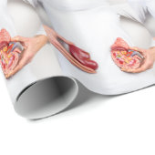 Handen die model houden van menselijk nierorgaan o cadeaupapier (Rol Hoek)