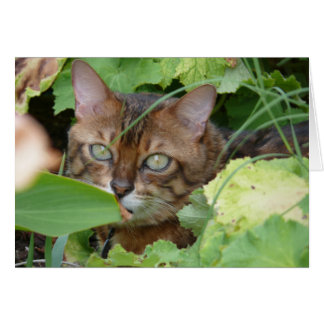 Handen in de tuin