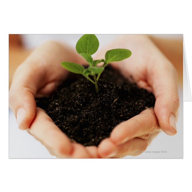 Handen met bemonstering (Voorkant Horizontaal)