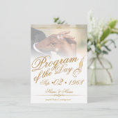 Handen van een gekleurde bruiloft op ringgoud (Staand voorkant)