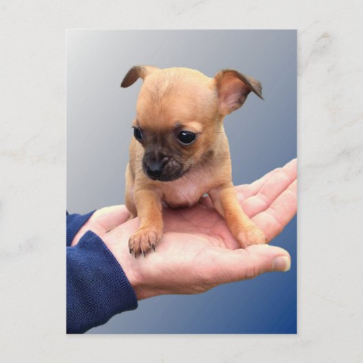 Handen verliezen briefkaart (Voorkant)